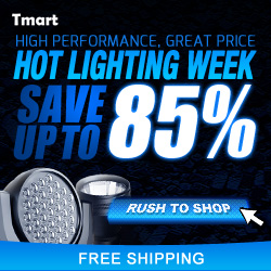 August Hot Light Sale - Save up to 85% off